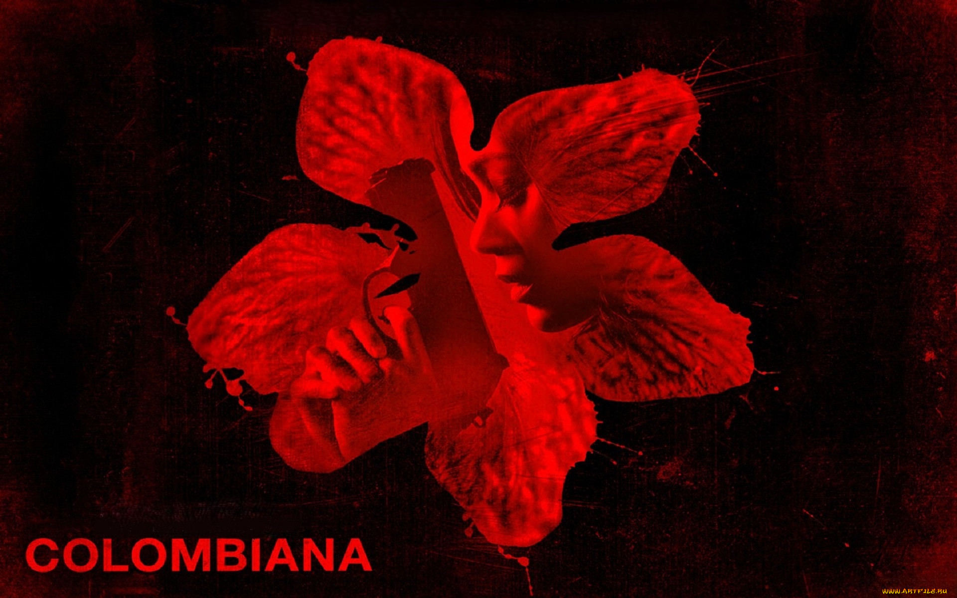  , colombiana, , , , 